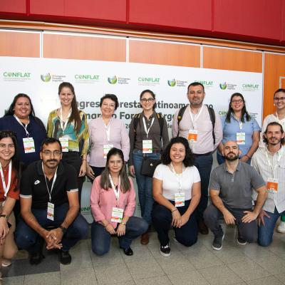Dia2 Conflat Img 0124 Cr Srgb